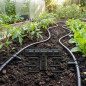 Lot de 100 Tés d'Irrigation Goutte à 20 mm | Raccord en T pour Tuyau et Tuyau d'Irrigation | Union Sûre et Résistante | Noir Lot de 100 Tés d'Irrigation Goutte à 20 mm | Raccord en T pour Tuyau et Tuyau d'Irrigation | Union Sûre et Résistante | Noir