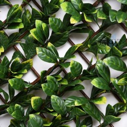 Wicker lattice with bay leaves