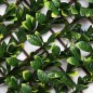 Celosia de mimbre extensible de hojas de laurel. 1 x 2 metros