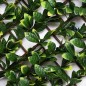 Wicker lattice bay leaves 1 x 2 meters Wicker lattice bay leaves 1 x 2 meters