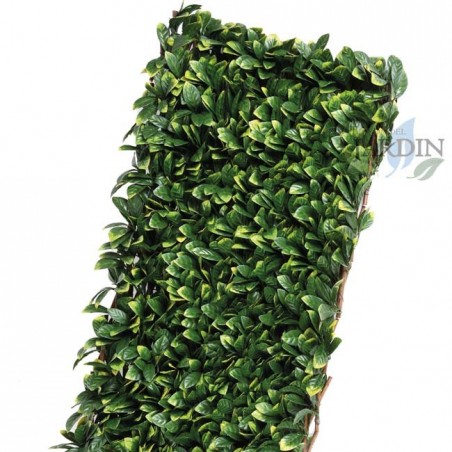 Celosia de mimbre extensible de hojas de laurel. 1 x 2 metros