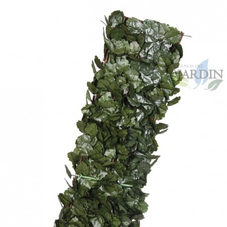 Weidenblatt-Korbgitter 1 x 2 Meter