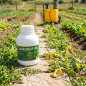 Erbicida totale 500 ml Logrado AP Previene le erbe infestanti, non residue e non selettive (Roundup Substitute)