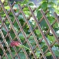 Clôture en Treillis en osier 50 x 150 cm pour jardin. Haie artificielle extensible pour jardins, clôtures, décoration
