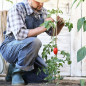 500 Stück Bambusstützen für Pflanzen 90 cm (6-8 mm) – Bambusstäbe, Stützen für Pflanzen, Gemüse, Tomaten, Bambusstäbe