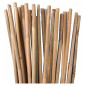 Pack 25 Tutor de Bambu 90 cm (6-8 mm) | Varillas de bambu para Plantas y Arboles | Tutores para Tomates y Plantas trepadoras