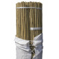Pack 100 Tutor de Bambu 90 cm (6-8 mm) | Varillas de bambu para Plantas y Arboles | Tutores para Tomates y Plantas trepadoras
