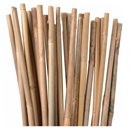 Pack 100 Tutor de Bambu 90 cm (6-8 mm) | Varillas de bambu para Plantas y Arboles | Tutores para Tomates y Plantas trepadoras
