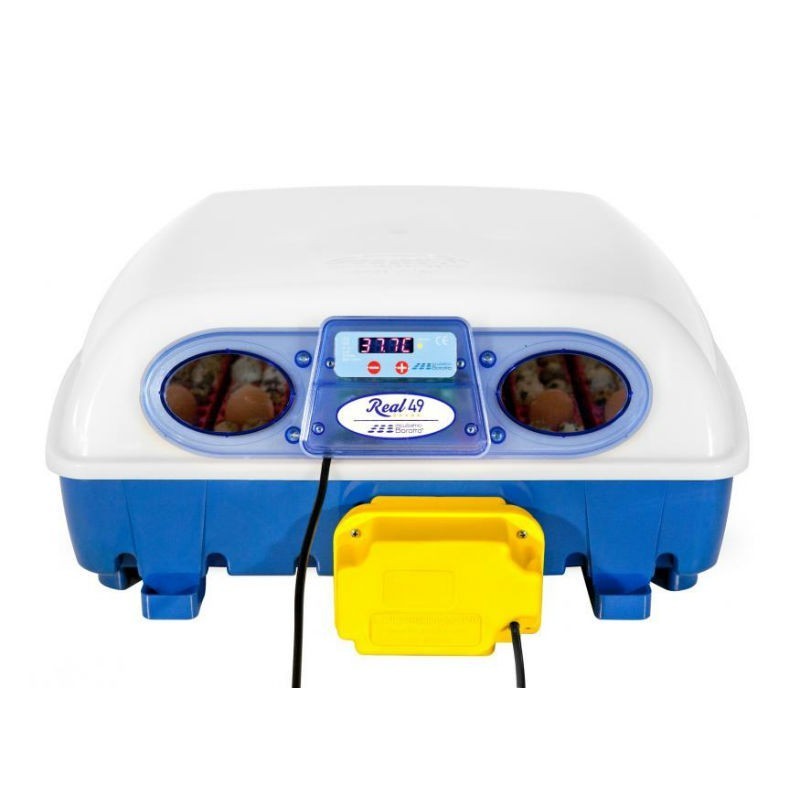 Incubatrice Automatica per Uova Gallina o qualsiasi Uccello.. Capacità 49 Uova. Giratore Automatico delle Uova