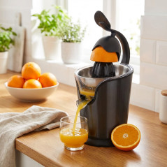 Mini Espremedor Elétrico com Braço, Potência 100 W, Cor Cinza, Medidas 30x20x29 cm