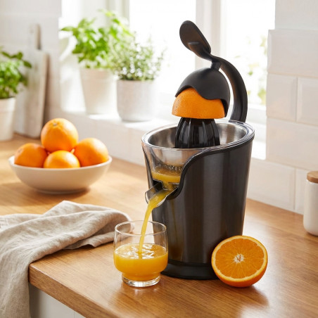 Mini Electric Juicer With Arm, Power 100 W, Color Gray, Measurements 30x20x29 cm