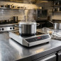 Placa Vitroceramica Inducción Portatil 3500W Lacor | Cocina Portatil inox Táctil, 18 Potencias, Dos Fuegos 12 y 28 cm Placa Vitroceramica Inducción Portatil 3500W Lacor | Cocina Portatil inox Táctil, 18 Potencias, Dos Fuegos 12 y 28 cm