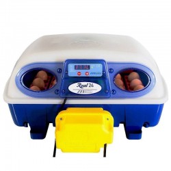 Incubateur automatique Real 24 œufs