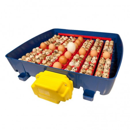 Incubateur automatique Real 24 œufs