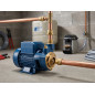 Bomba de água periférica monofásica QB-60 0,5 HP | Bomba de pressão doméstica 230 V
