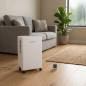 Orbegozo Luftentfeuchter, 10 Liter, 210 W | Reinigungsmodus | LED-Anzeige | Touchpanel und Timer