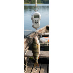 Hook Scale 10 kg/5 g, 10x10x10 cm | Manual Weight Electronic Hook