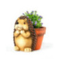 Hedgehog Planter | Decorative Planter 20x23x26 cm | Indoor/Garden/Terrace Planter | Ideal for Small Plants Hedgehog Planter | Decorative Planter 20x23x26 cm | Indoor/Garden/Terrace Planter | Ideal for Small Plants