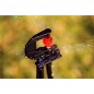Microaspersor giratório 360° para jardim e horta | Pacote com 100 aspersores | Raio de até 2,8 m
