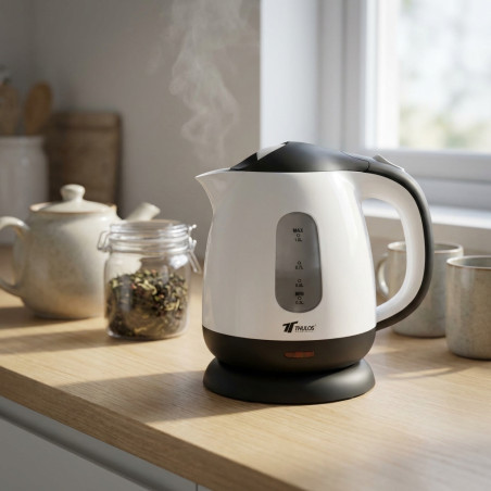 Bouilloire électrique en acier inoxydable 1 litre | Bouilloire avec filtre amovible | Théière électrique portable pour infusions
