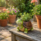 Turtle Planter | Decorative Planter 20x26x25 cm | Indoor/Outdoor Garden/Terrace Planter | Ideal for Small Plants Turtle Planter | Decorative Planter 20x26x25 cm | Indoor/Outdoor Garden/Terrace Planter | Ideal for Small Plants