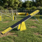Verzinkte Hunde-Agility-Wippe 300x36x60 cm | Hunde-Trainingsparcours-Wippe