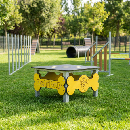 Galvanized Dog Agility Jump Table 90x90x52 cm | Obstacle Course for Canine Training