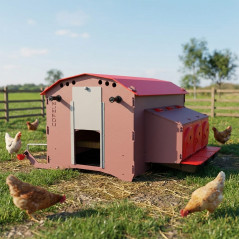 Fixed Chicken Coop with 7L Water Tank 150x130x114 cm | Capacity 10-20 Laying Hens
