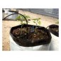 Lot de 50 Connecteur d'irrigation goutte à goutte à 4 sorties. Tuyau 4mm inclus de 60 cm Lot de 50 Connecteur d'irrigation goutte à goutte à 4 sorties. Tuyau 4mm inclus de 60 cm
