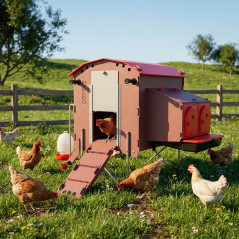 Pollaio mobile con serbatoio acqua da 7 litri 73x83x105 cm | Capacità per 6-9 galline ovaiole