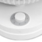 Ventilador de Sobremesa 3 Velocidades Orbegozo | Ventilador Oscilante Portatil 40W | Cabezal Inclinable Verticalmente 90º