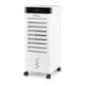 Resfriador de ar evaporativo Orbegozo de 6 litros | Resfriador de ar, purificador de ar e umidificador | Temporizador de 12 hora