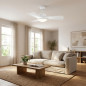 Ventilatore da soffitto Orbegozo con luce LED regolabile | Ventilatore silenzioso da 105 cm con telecomando | Modalità inverno-e Ventilatore da soffitto Orbegozo con luce LED regolabile | Ventilatore silenzioso da 105 cm con telecomando | Modalità inverno-e