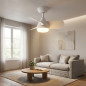 Ventilador de teto Orbegozo com luz LED ajustável | Ventilador silencioso de 60 cm com controle remoto | Modo inverno-verão