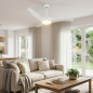 Ventilateur de plafond Orbegozo avec éclairage LED réglable | Ventilateur silencieux de 132 cm avec télécommande | Mode hiver-ét