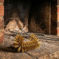 Triangular Brush for Chimneys and Boilers | Cleaning Flat Surfaces | Chimney Sweep