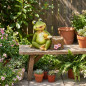 Frog and Log Planter | Decorative Planter 40x34x23 cm | Indoor/Outdoor Garden/Terrace Planter | Ideal for Small Plants