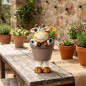 Vaso em formato de vaca | Vaso decorativo 19x36x24 cm | Ideal para jardim/terraço (interior ou exterior) | Perfeito para plantas Vaso em formato de vaca | Vaso decorativo 19x36x24 cm | Ideal para jardim/terraço (interior ou exterior) | Perfeito para plantas