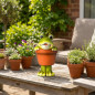 Frosch-Pflanzgefäß | Dekoratives Pflanzgefäß 19 x 35 x 24 cm | Für drinnen und draußen, Garten oder Terrasse | Ideal für kleine Frosch-Pflanzgefäß | Dekoratives Pflanzgefäß 19 x 35 x 24 cm | Für drinnen und draußen, Garten oder Terrasse | Ideal für kleine