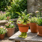Frog Planter | Decorative Planter 19x35x24 cm | Indoor/Outdoor Garden/Terrace Planter | Ideal for Small Plants