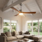Ventilatore da soffitto Orbegozo con luce LED | Ventilatore silenzioso da 132 cm con telecomando | 3 pale in legno 40W