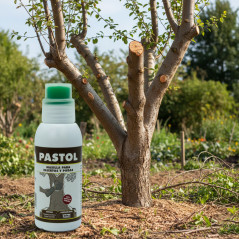 copy of Pastol 250g Pâte à greffer et à tailler | Protège, cicatrise et régénère les plaies des plantes