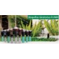 Set di 3 Ugello rotatore Rain Bird RVAN14 360º, ugello spray per irrigazione da 2,4 a 4,6 m
