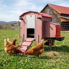 Pollaio mobile con serbatoio acqua da 7 litri 74x57x105 cm | Capacità per 3-5 galline ovaiole