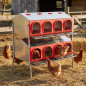 Nid à poules à 16 compartiments, 107 x 81 x 119 cm, avec pieds, fonctionnel et surélevé pour une utilisation en extérieur