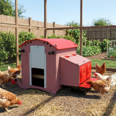 Gallinero Fijo con Bebedero Depósito 7 L 73x83x79 cm | Capacidad 6-9 Gallinas Ponedoras