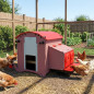 Fixed Chicken Coop with 7L Water Tank 73x83x79 cm | Capacity for 6-9 Laying Hens