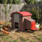 Poulailler fixe avec réservoir d'eau de 7 L 74 x 57 x 79 cm | Capacité pour 3 à 5 poules pondeuses