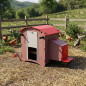 Fixed Chicken Coop with 7L Water Tank 74x57x79 cm | Capacity for 3-5 Laying Hens