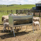 Galvanized Sheet Metal Sheep Feeder 100x75x128 cm | Outdoor Sheep Feeder for Livestock
